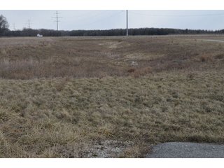 Property photo 52 - 127 Acres Offered in 8 Tracts - Allen & Dekalb County Land